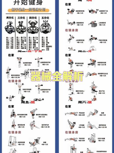 健身新手如何开始训练_健身房训练计划怎么制定
