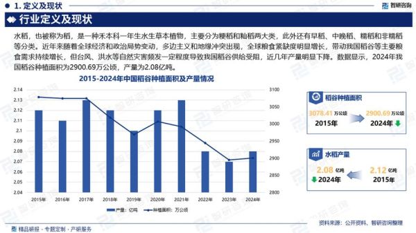 水稻种植前景如何_未来水稻价格走势