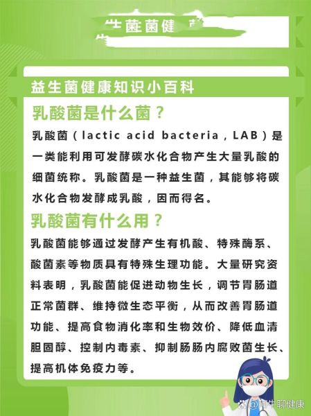 乳酸菌的作用与功效_乳酸菌市场前景如何