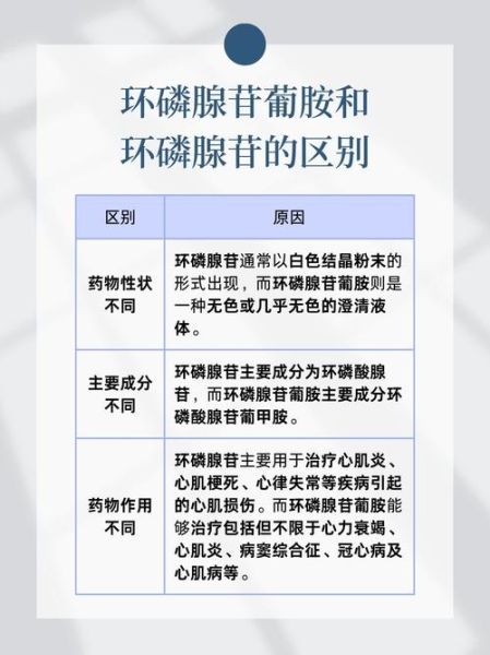 腺苷是什么_腺苷前景如何