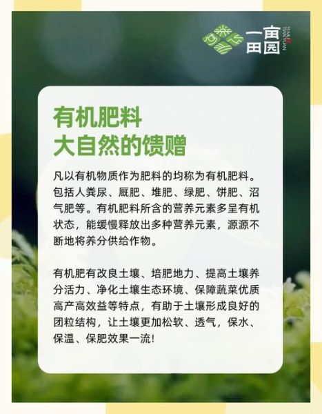 有机肥市场前景怎么样_有机肥生意好做吗