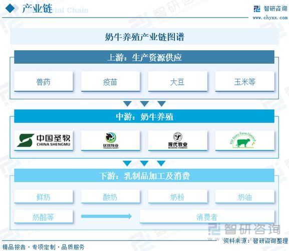 奶牛养殖前景怎么样_2024年奶牛养殖赚钱吗