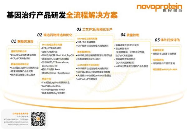 基因治疗原理是什么_基因治疗最新进展2024