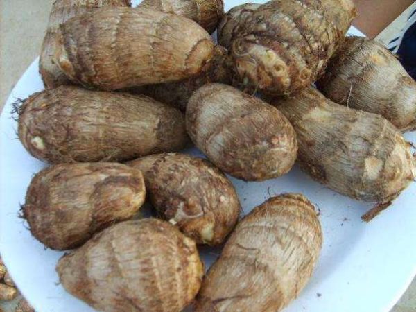 莱阳海林食品怎么样_莱阳海林食品有哪些特色产品