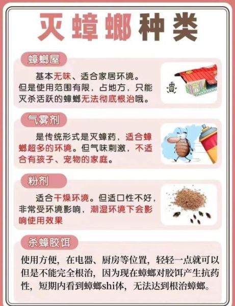 家里发现蟑螂怎么办_灭蟑螂最有效的方法