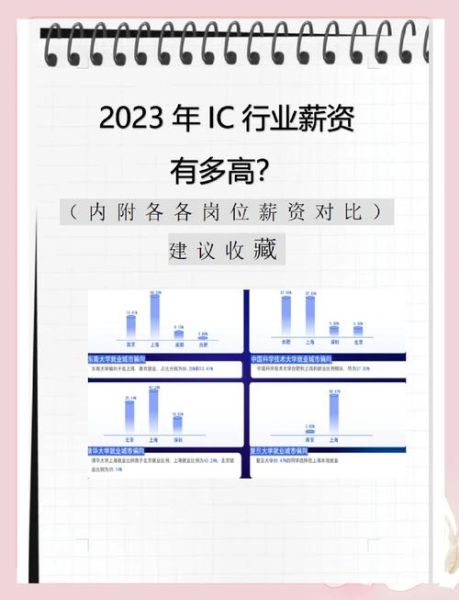 ic行业前景怎么样_2024年ic设计薪资会涨吗