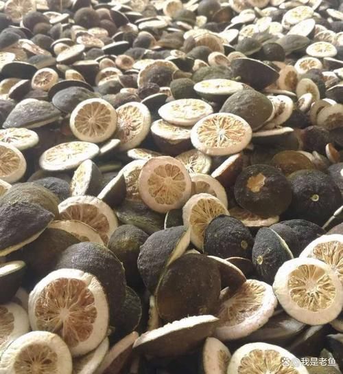 积壳前景怎么样_积壳种植赚钱吗