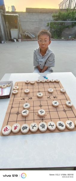 象棋行业前景如何_象棋培训还能赚钱吗