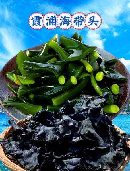 海带批发价格多少钱一斤_海带营养价值有哪些