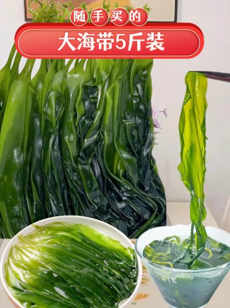 海带批发价格多少钱一斤_海带营养价值有哪些