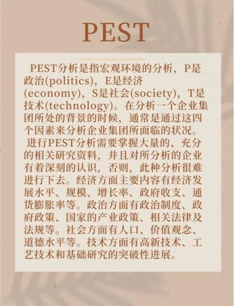 2024网站SEO怎么做_互联网市场环境pest分析
