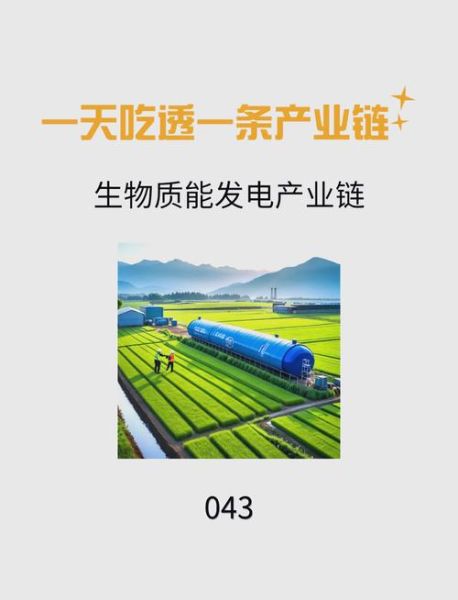 生物质发电前景如何_生物质发电有前途吗