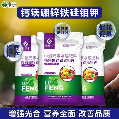 鲁丰环保科技有限公司怎么样_鲁丰环保科技有哪些产品