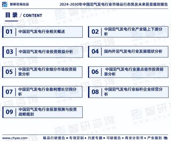发电行业环境分析_未来五年发展趋势