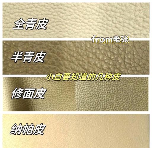 皮革行业未来五年趋势_真皮替代品会取代真皮吗