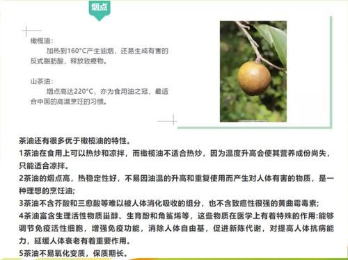 茶油多少钱一斤_茶油的功效与作用有哪些