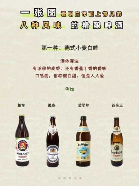 啤酒品牌如何选_精酿啤酒有哪些种类