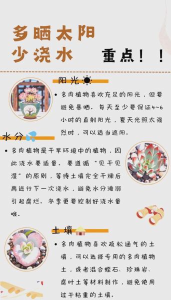 多肉植物赚钱吗_新手如何入门多肉行业