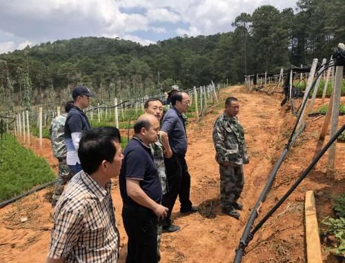 宜良西南水泥有限公司怎么样_宜良西南水泥价格多少钱一吨