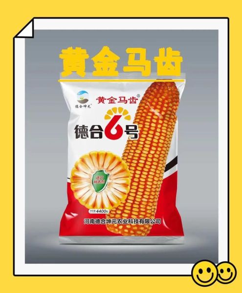 玉米种子哪个品种好_玉米种子价格多少钱一斤