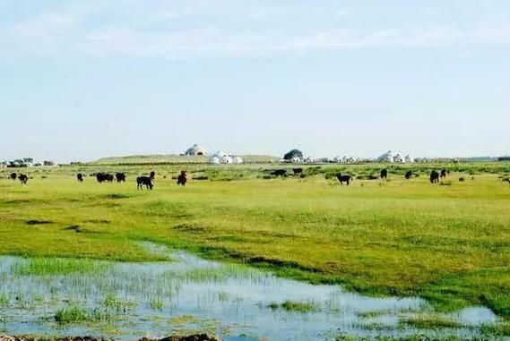 内蒙古发展前景怎么样_内蒙古适合做什么生意