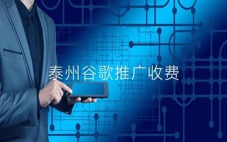 泰州网站优化怎么做_泰州企业SEO外包多少钱