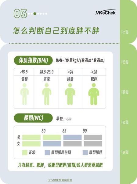 减肥前景怎么样_未来减脂行业趋势