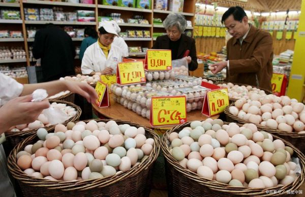 鸡蛋市场前景怎么样_鸡蛋行业值得投资吗