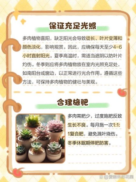 多肉植物怎么养_多肉植物市场前景如何