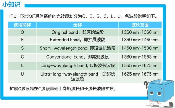 wdm前景怎么样_wdm技术未来发展趋势