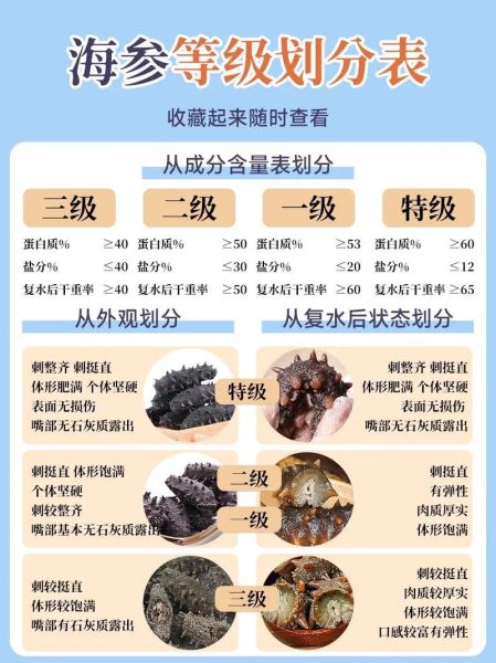 2015海参市场前景如何_海参价格走势分析