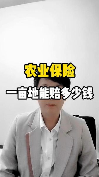 农业险前景怎么样_农业保险值得买吗
