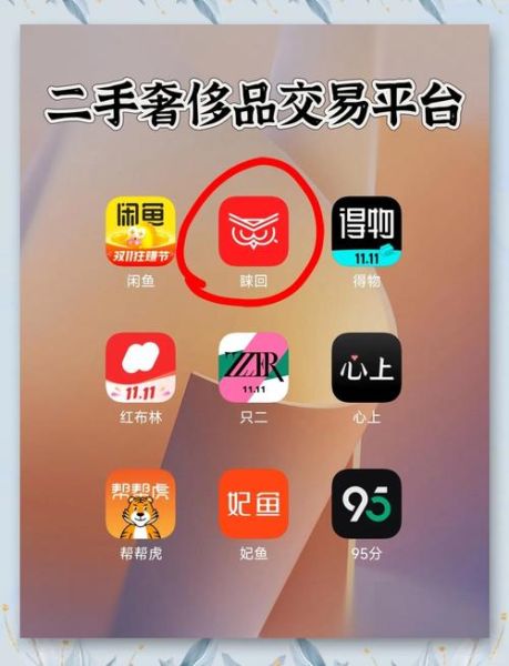 二手奢侈品怎么买靠谱_二手奢侈品交易平台哪个好