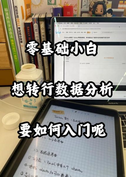 SEO转行做什么工作_零基础如何入门