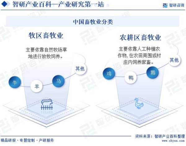 畜牧养殖业发展前景如何_未来五年赚钱吗
