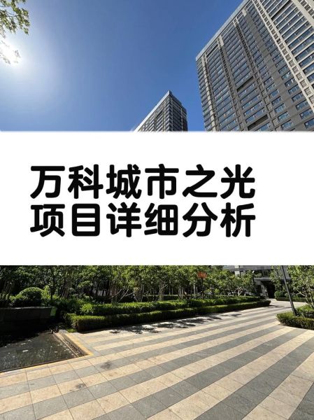 万科房地产行业现状如何_万科未来发展前景怎么样