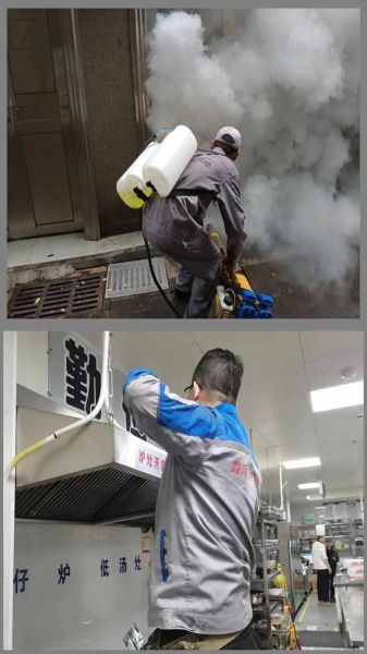 消杀行业前景怎么样_消杀公司还能赚钱吗