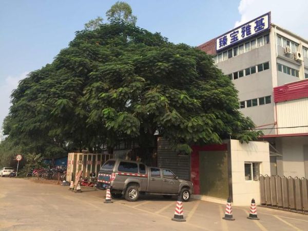 河南臻立实业有限公司怎么样_河南臻立实业口碑如何