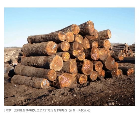 木材行业有哪些风险_如何规避木材贸易风险
