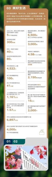 京东商城行业分析_2024年还能赚钱吗