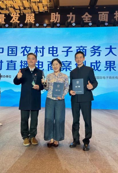 农村互联网创业前景怎么样_农村电商怎么做