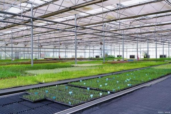 设施农业前景怎么样_设施农业有哪些盈利模式