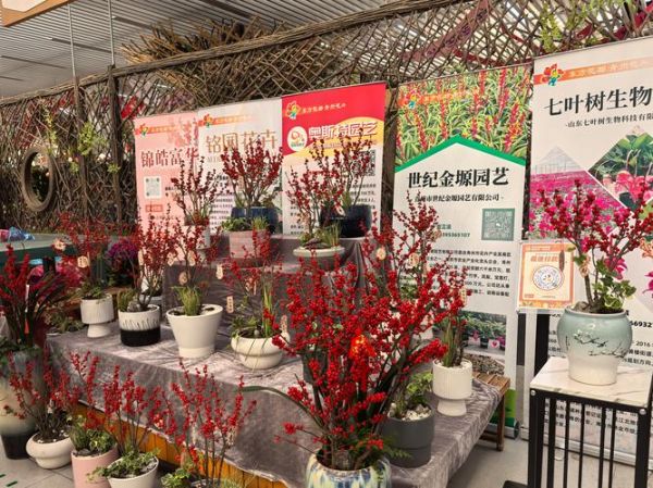 互联网花市场前景怎么样_鲜花电商赚钱吗