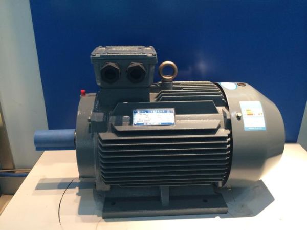 肥城永泰电机怎么样_肥城永泰电机价格贵吗