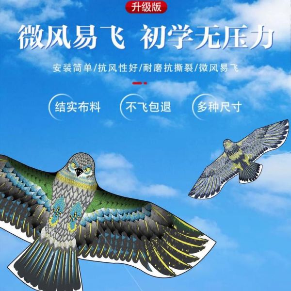 风筝哪个品牌好_初学者怎么选风筝