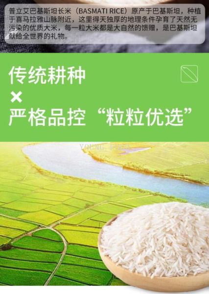 爱米币前景怎么样_爱米币值得长期持有吗