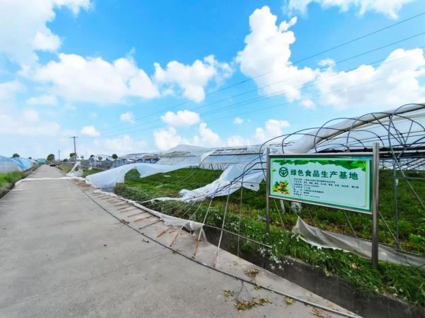 江门益方田园有限公司怎么样_益方田园有机蔬菜基地在哪