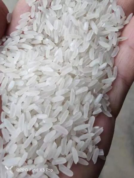 精米前景怎么样_精米市场未来五年趋势