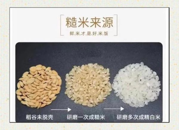 精米前景怎么样_精米市场未来五年趋势