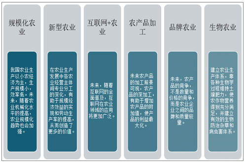 中国农业前景如何_未来农业发展趋势